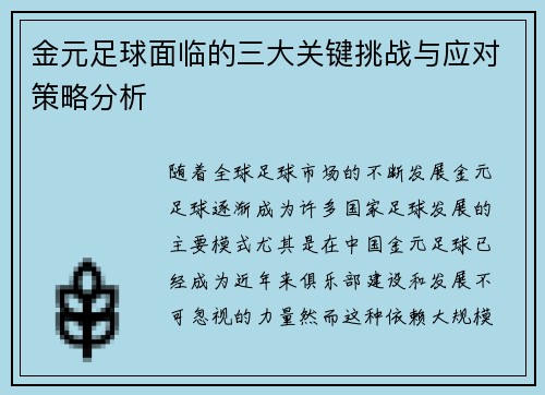 金元足球面临的三大关键挑战与应对策略分析 金元足球面临的三大关键挑战与应对策略分析