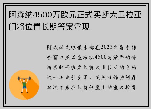 阿森纳4500万欧元正式买断大卫拉亚门将位置长期答案浮现